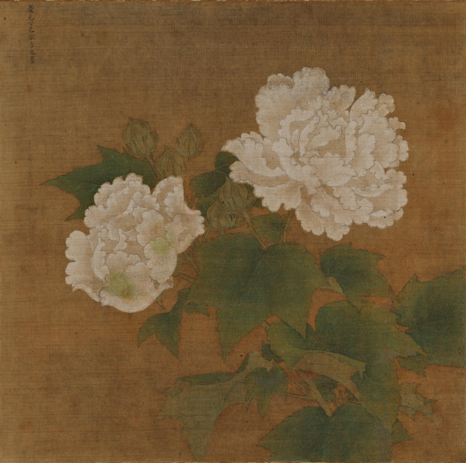 红白芙蓉图