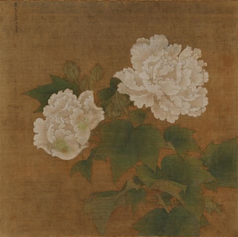 红白芙蓉图