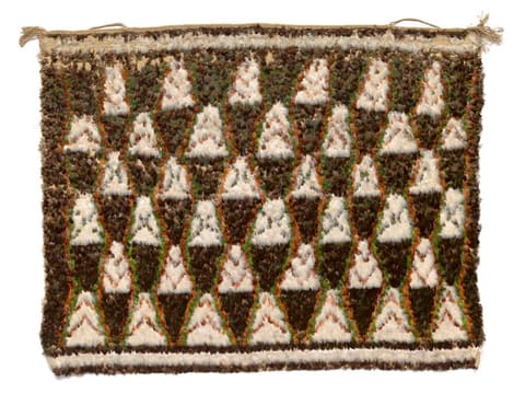 Mākereti Papakura 的 kahu huruhuru（羽毛披风）